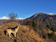 46 Dallo Zucchin proseguiamo per il Monte Gioco con vista su Val Serina e Alben